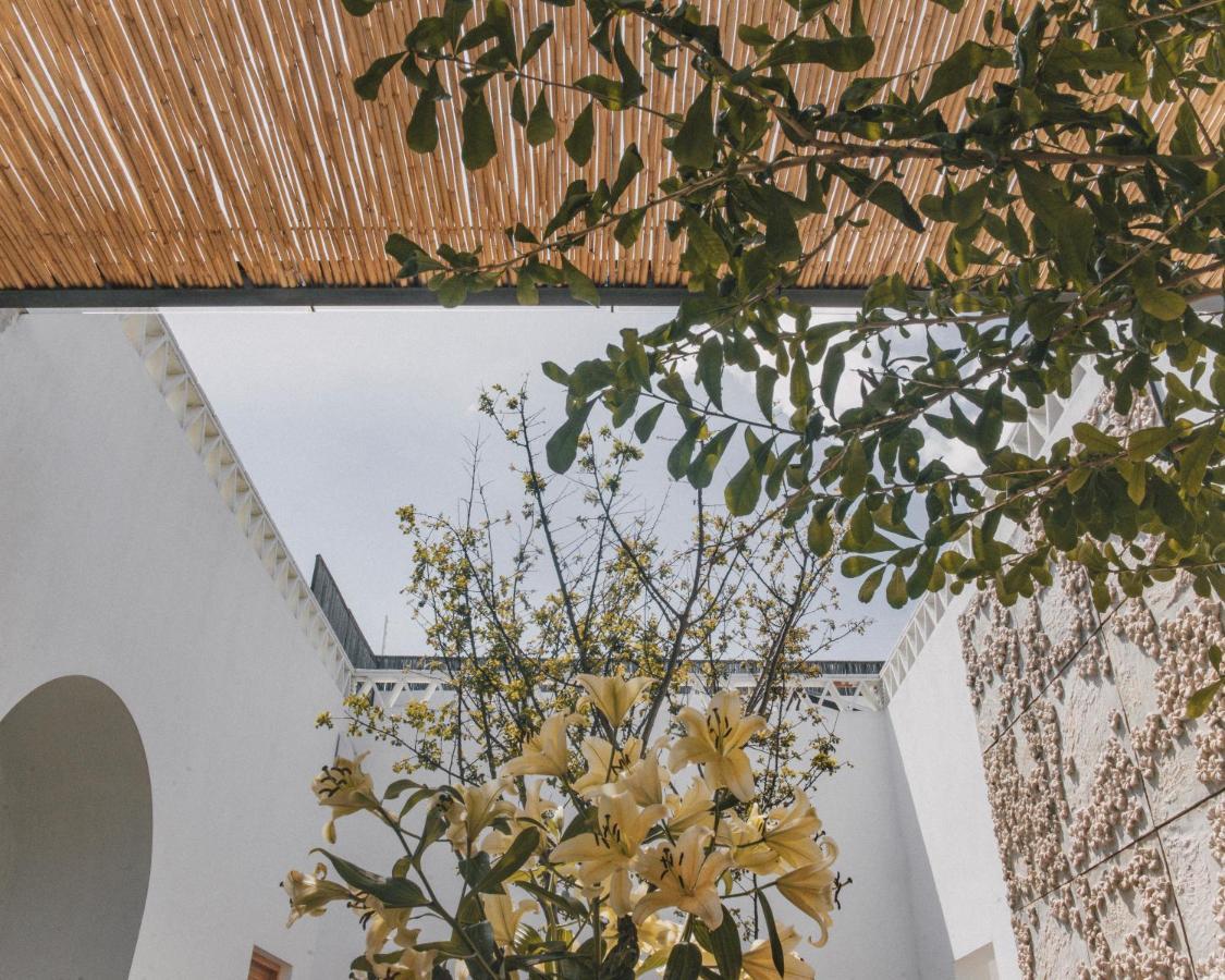 Casa Carmen Morelos Oaxaca Экстерьер фото