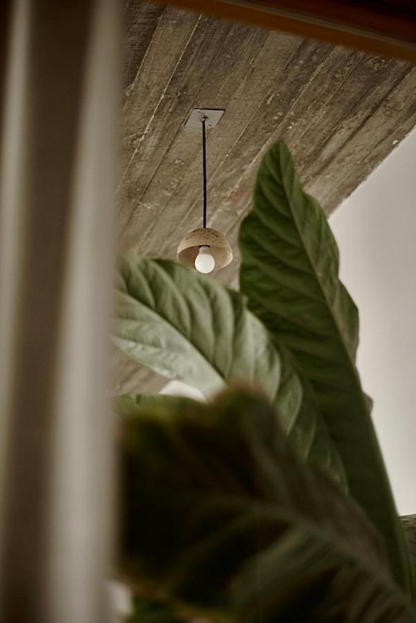Casa Carmen Morelos Oaxaca Экстерьер фото