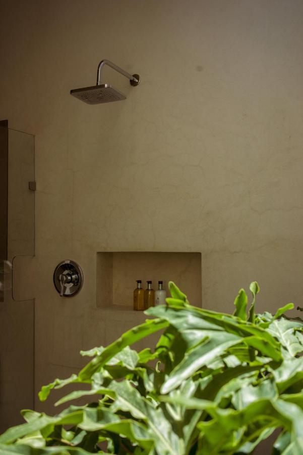 Casa Carmen Morelos Oaxaca Экстерьер фото